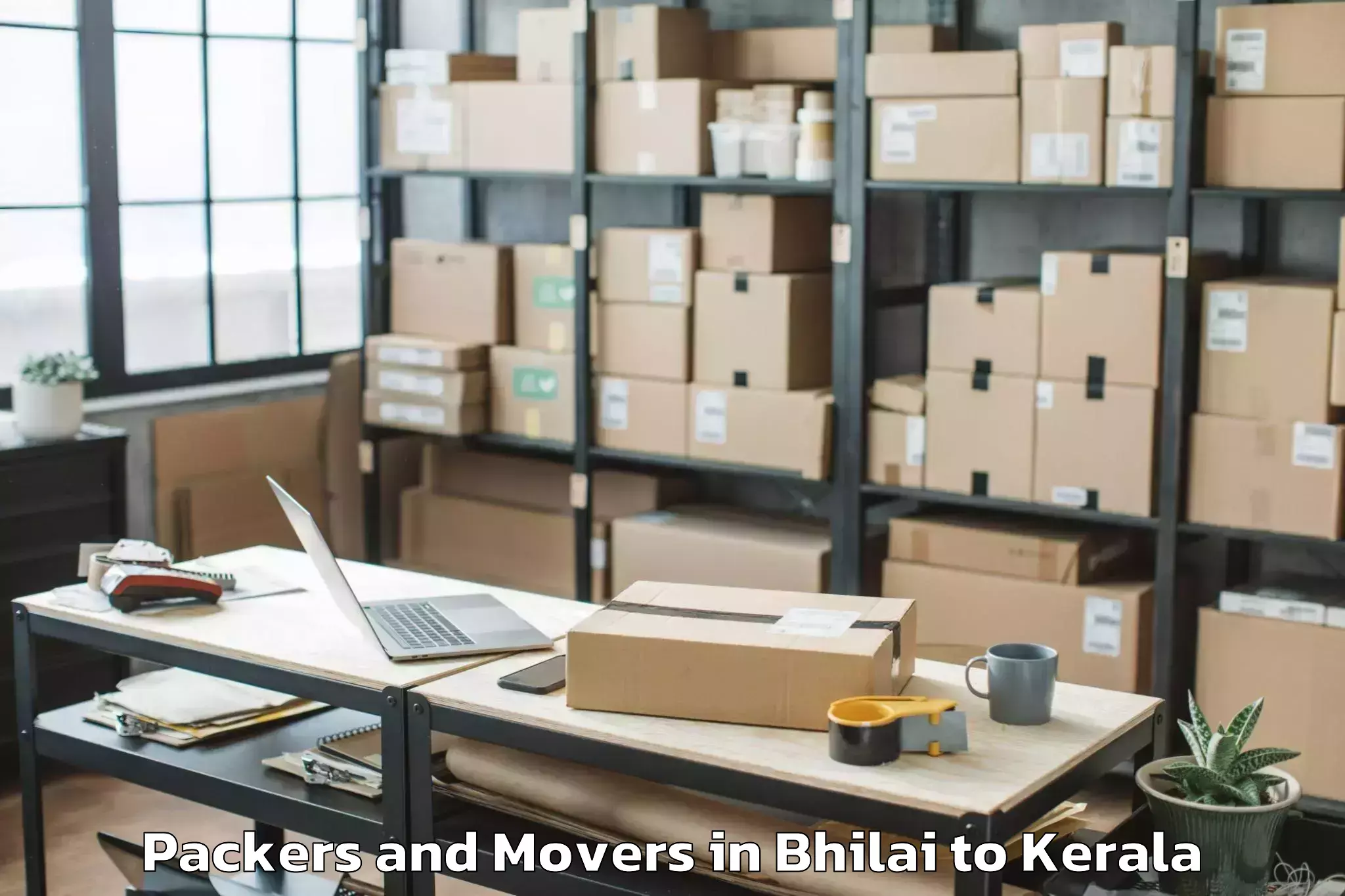 Affordable Bhilai to Cochin Packers And Movers